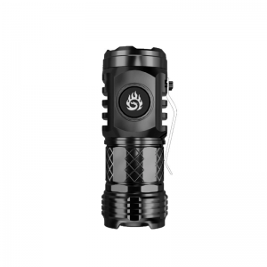 3W 250Lumens Mini Portable Flashlight 5 Work Modes with Clip For Outdoor Work Camping 